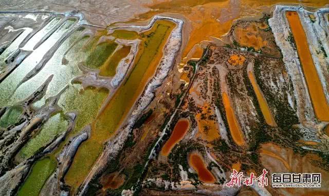 甘肃白银景泰:盐沼湿地千姿百态