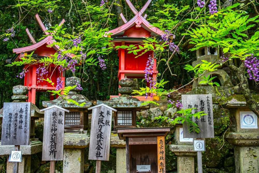 日本之旅,一定不能错过的世界遗产:春日大社,树深时见鹿