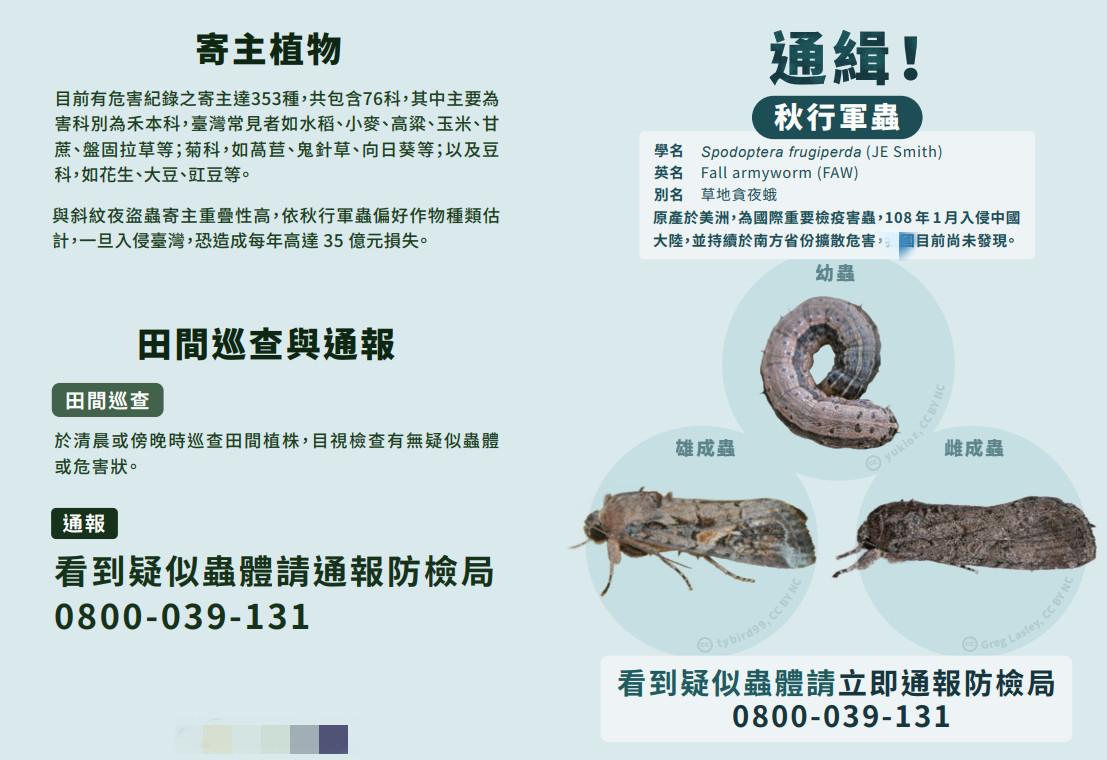 台当局称害虫从大陆吹来网友酸 什么风这么厉害 蔷薇资讯