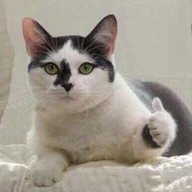 女生为了防晒能做到什么地步？亲妈都认不出来系列，了解一下