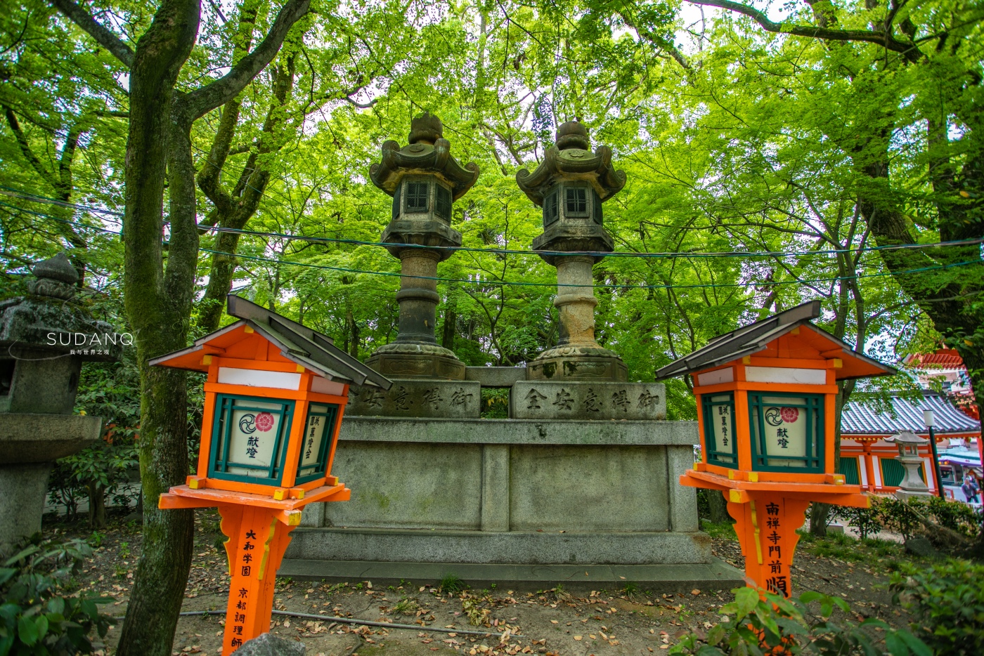日本保留大量中国文化 京都八坂神社就是佐证 现为国家级文物 环游号