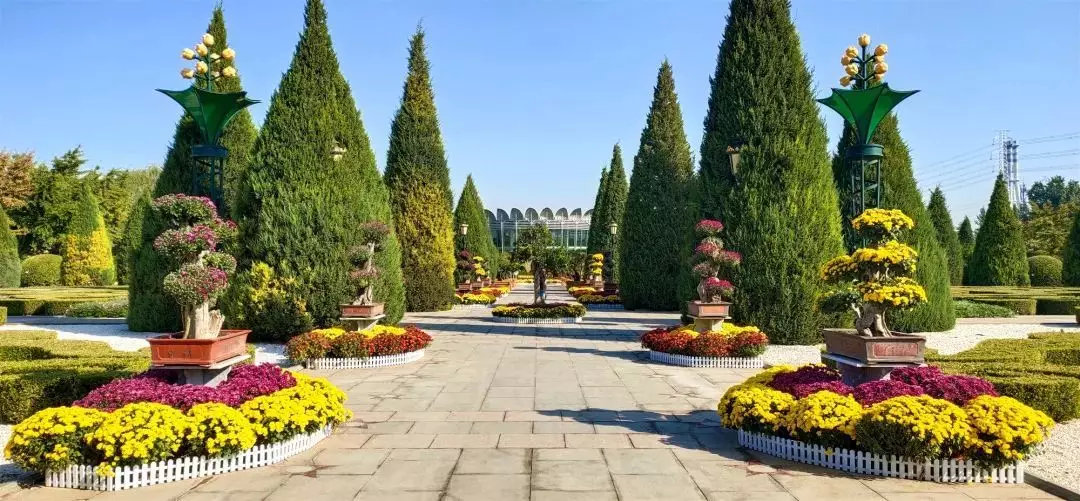 迎国庆 赏 丰 姿丨北京菊花文化节来了 世界花卉大观园邀您赏 环游号