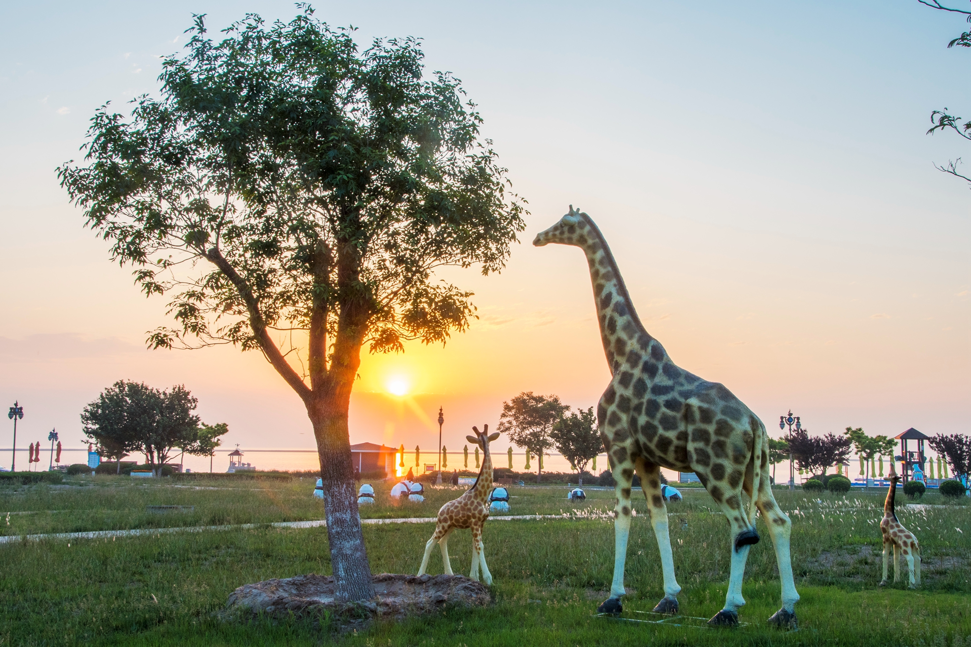 天津东疆湾沙滩景区开启世界儿童沙滩海洋主题季 环游号