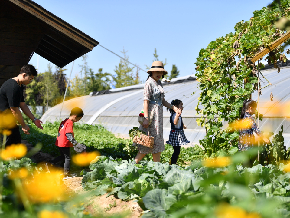 旅游线路推荐丰盈秋收醇美乡村收获之旅