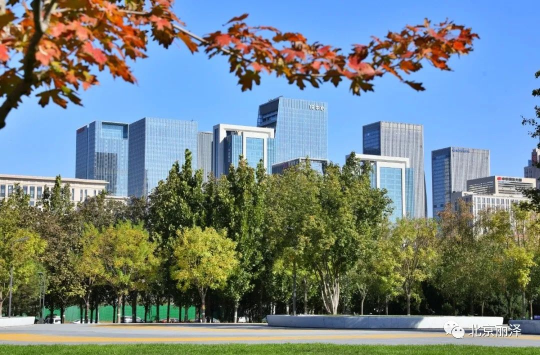 最是橙黄橘绿时丽泽的秋色藏在这里