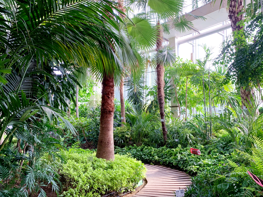 震撼!北京世界花卉大观园·巨型稻草人艺术王国即将开启