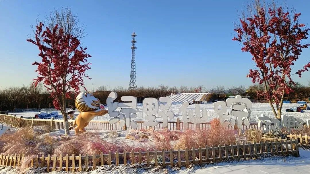 到丰台过大年丨来绿野仙踪郊野乐园游玩入园有好礼