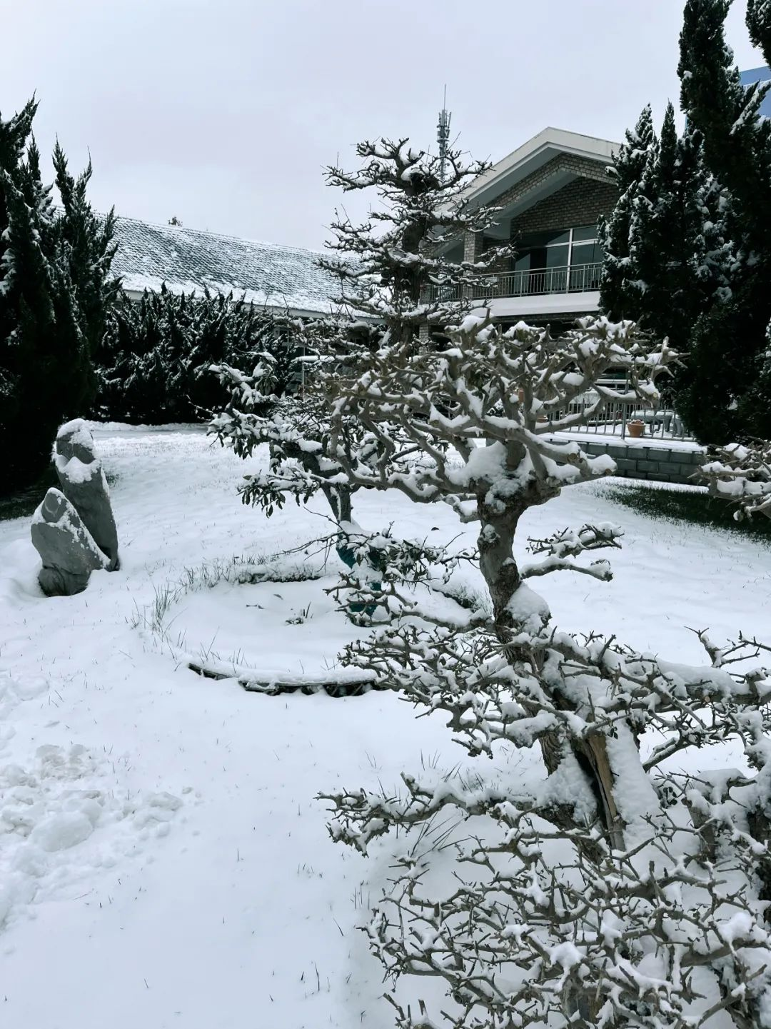北京世界花卉大观园构成了一幅幅美丽的画卷四面银装素裹则是一派"北