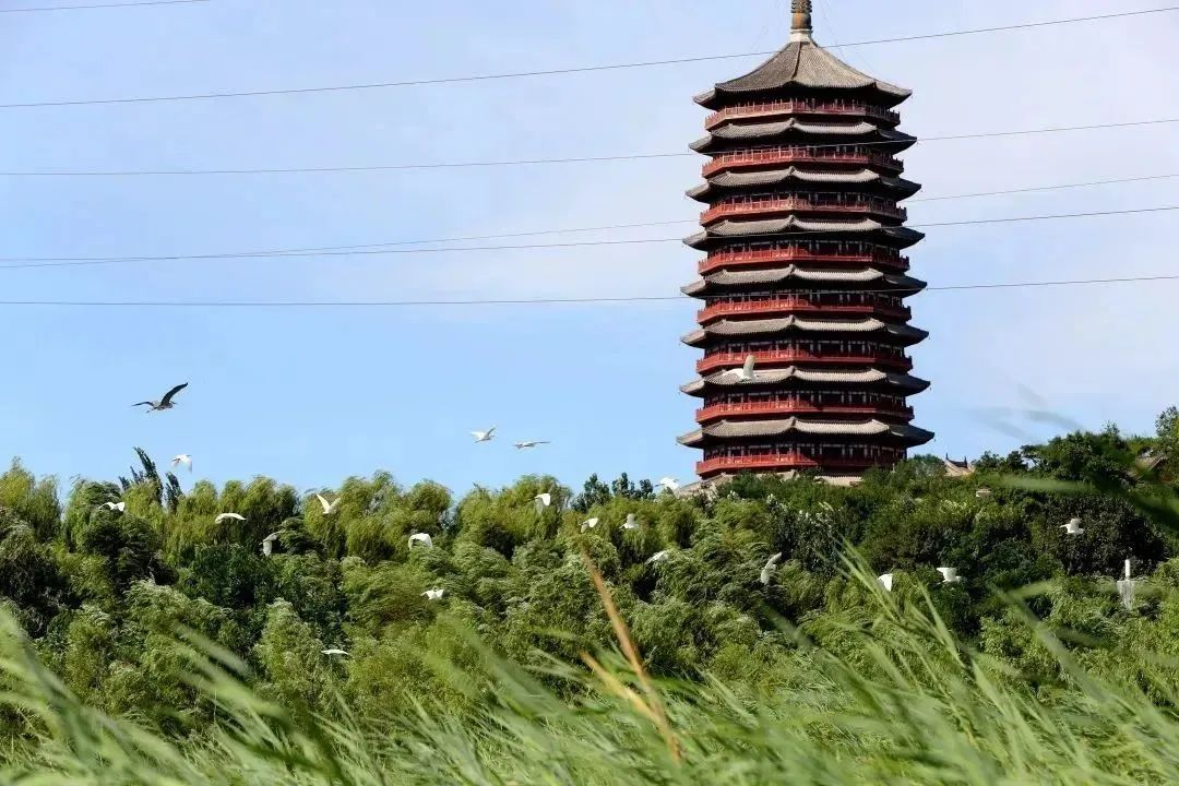 你要写丰台就不能只写丰台