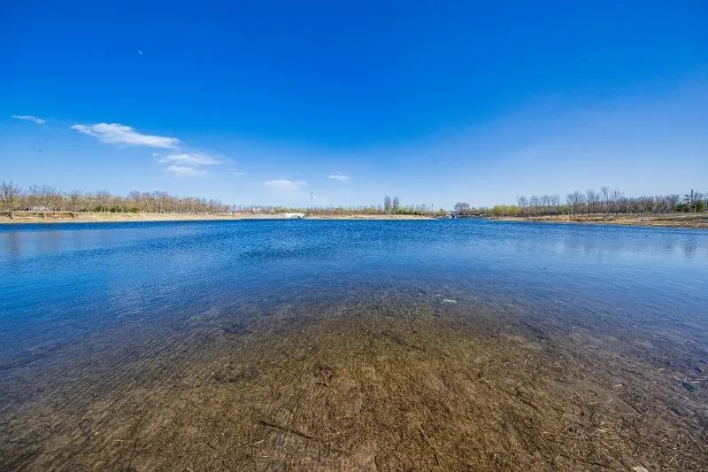 南苑森林湿地公园生物大家庭不断扩容